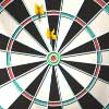 Darts 501