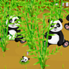 Panda farm